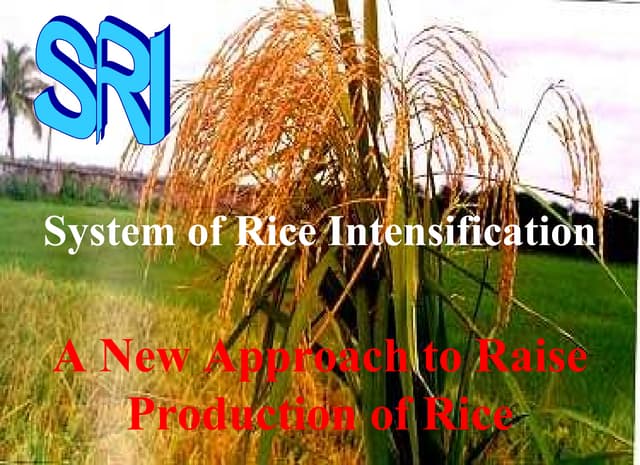 0001 A New Approach to Raise Produc...