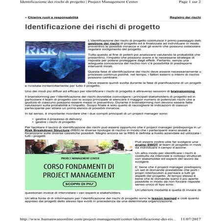 Risk Management | PDF