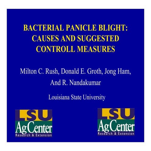 001   bacterial panicle blight, milton rush