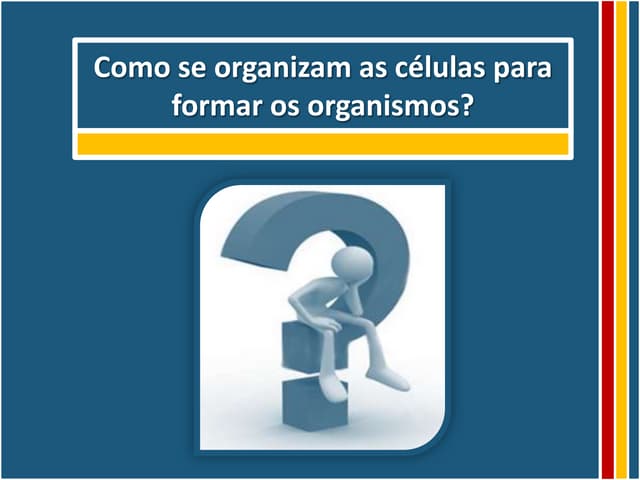 Níveis de organização biológica