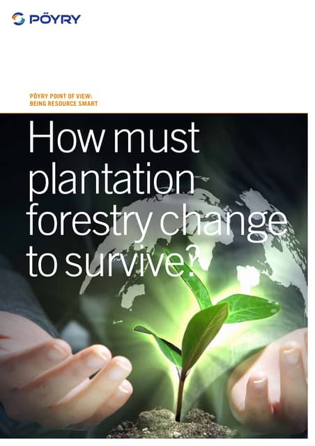 Poyry - How must plantation forestry change to survive? - Point of View