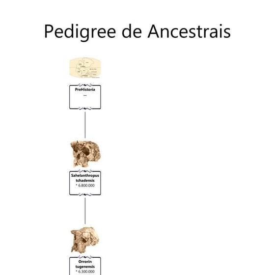 Maxpessa1 presentations