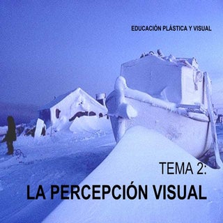 La Percepción Visual