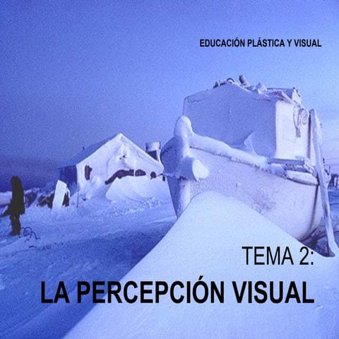 La Percepción Visual