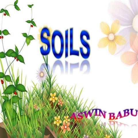 Types of soil in India