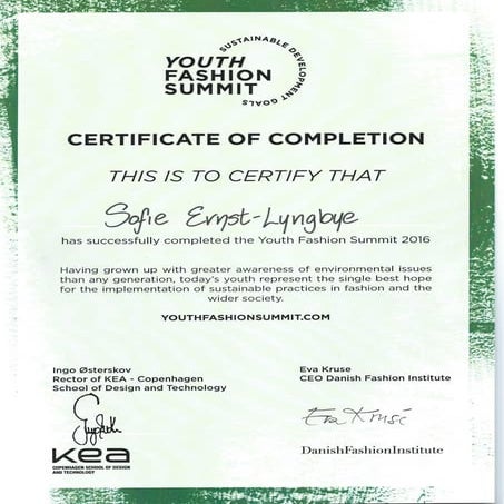 Dsp Training Certificate Pdf