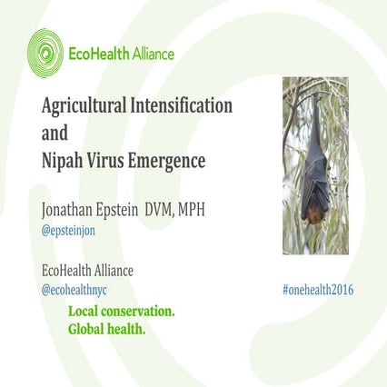 Agricultural intensification and Nipah virus emergence
