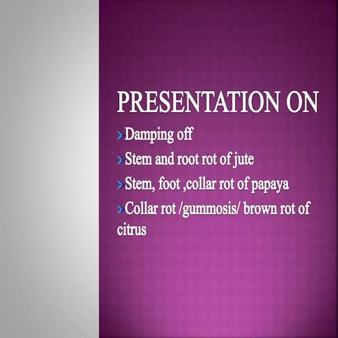 Damping off, collar rot/gummosis of citrus and Papaya and root rot of jute