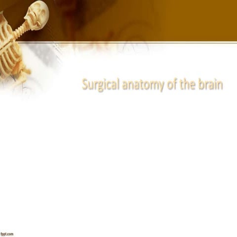 002 Surgical anatomy of the brain