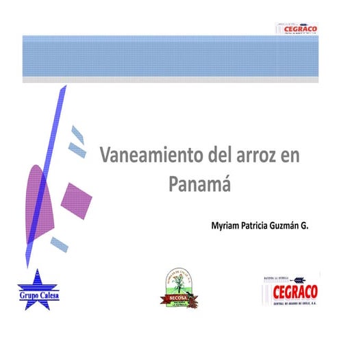 003   vaneamiento del arroz en panama, patricia guzman