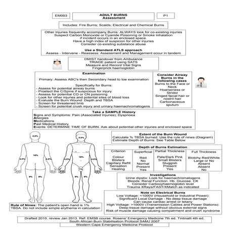 BURNS- Derm Presentation | PPTX