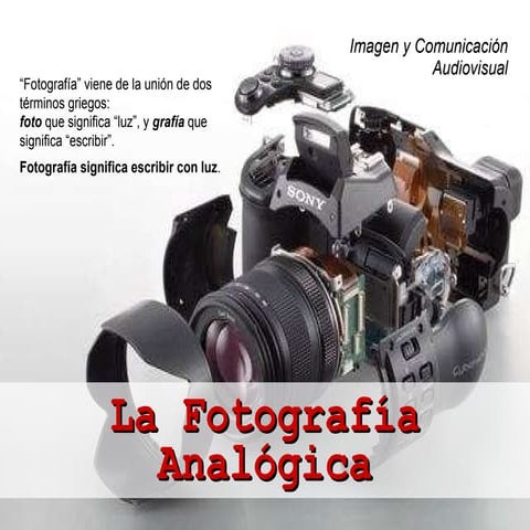 La Fotografia Analogica