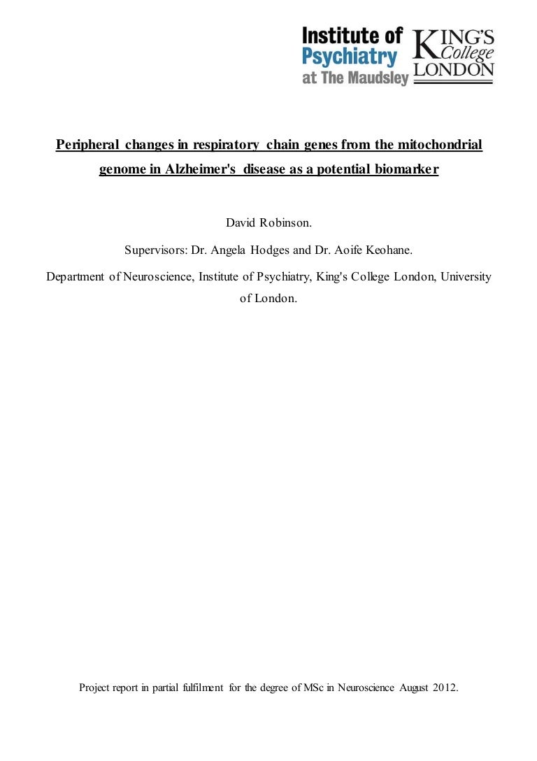 msc dissertation sample pdf