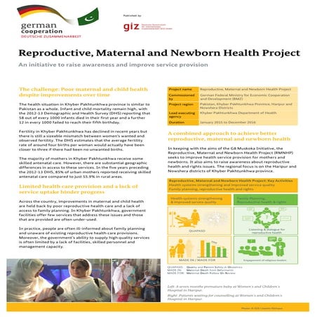RMNHP Fact Sheet Healthy Development Website