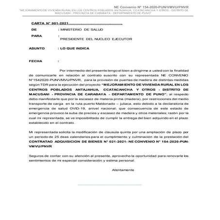 004 carta del_nucleo_ejecutor_-_plan__covid[1]