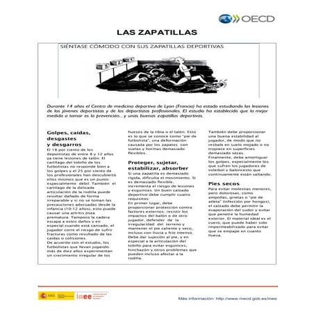 PISA comprensión lectora:LAS ZAPATILLAS