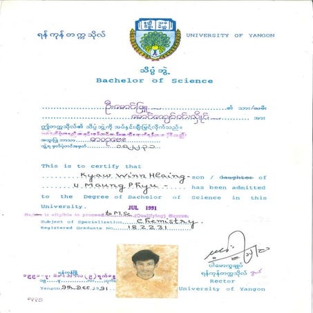 bachelor degree | PDF