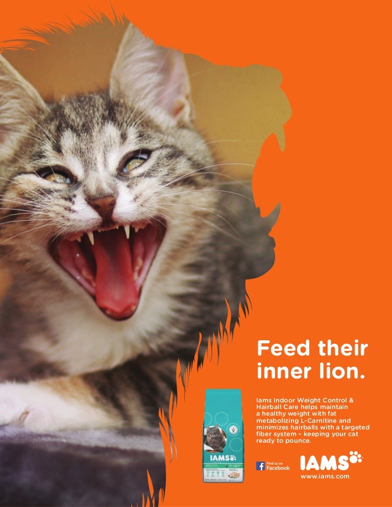 ad cat food