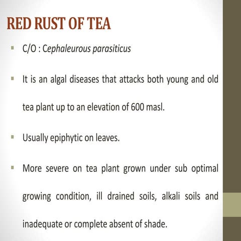 Red rust of tea, litchi and guava 