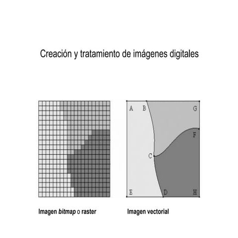 Creación y tratamiento de imágenes digitales: definición y tipos de imágenes