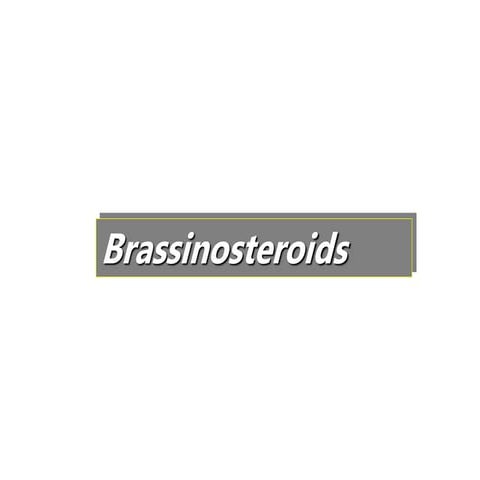 008 Brassinosteroids.ppt