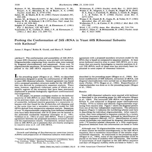 Gutell 009.biochemistry.1984.23.03330
