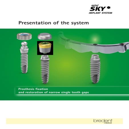 SKY Implant System Catalog | PDF