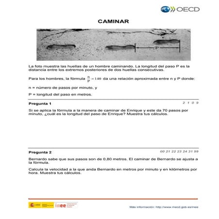 PISA matemáticas: CAMINAR