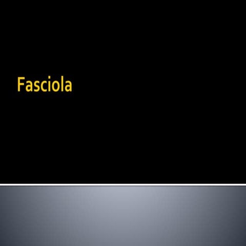 fasciola