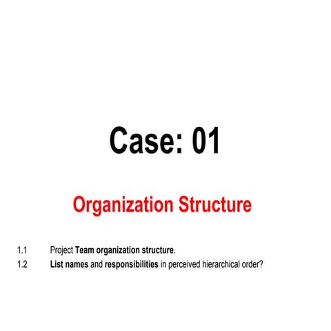 Project Roles Assignment | PPTX