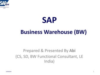 SAP BW Reports - Copy