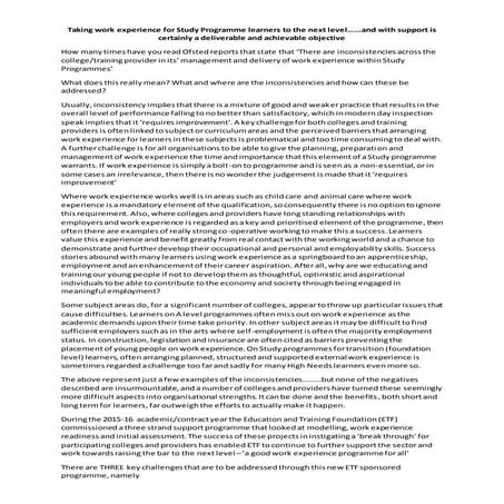 Taking work experience to the next level