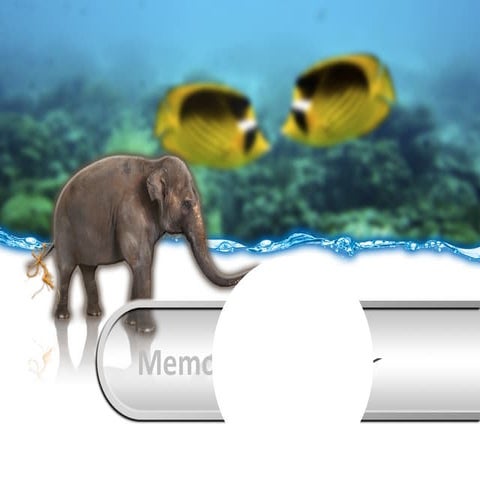 Cognition memory thinking_language