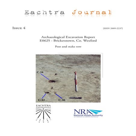 Archaeological Excavation Report E0625 - Bricketstown, Co. Wexford ...