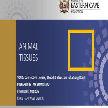 00 Life Sciences Grade 10 PPT Connective Tissues.pptx