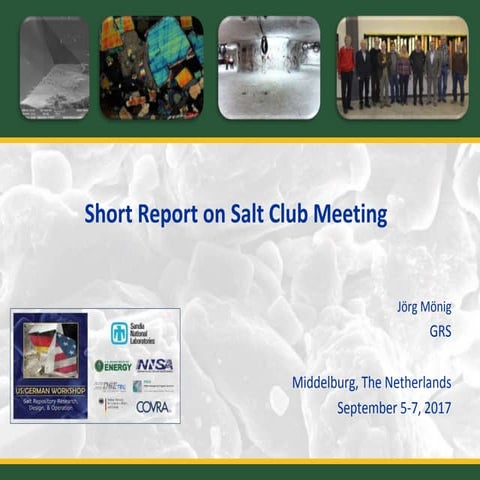00 Short Report on Salt Club Meeting