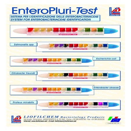 01 0014-ll-entero pluri-test | PDF