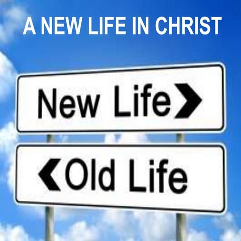 a new life in christ