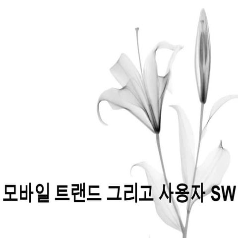 모바일 트랜드 2013 - 간단 버전