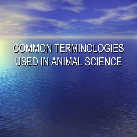 01. common terminologies used in an sci