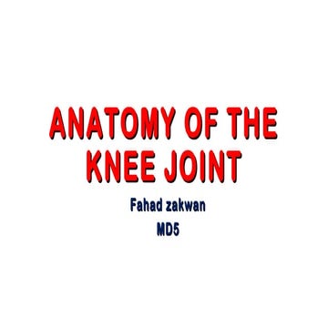 01. knee anatomy