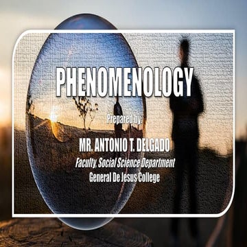 Phenomenology