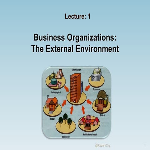Business organisations. the external environment