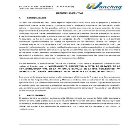 01.01 RESUMEN EJECUTIVO.docx