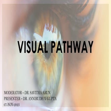 VISUAL PATHWAY and its related pathology