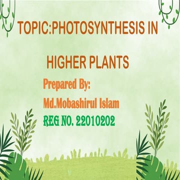 01.B(22010202)-PHOTOSYNTHESIS IN HIGHER PLANTS.pptx