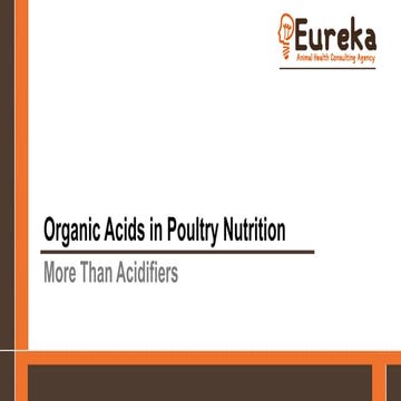 Application of Organic Acid in Poultry