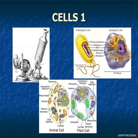 01 Cell Theory And Microcope