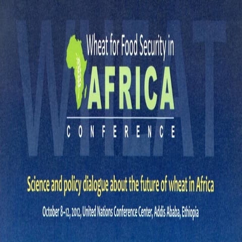 A competitive South African Wheat Industry Is Paramount To Food Security