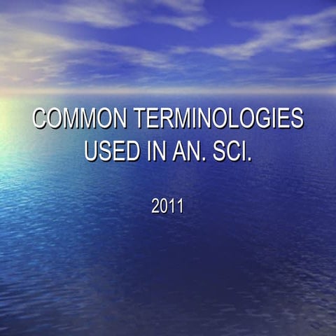01. common terminologies used in an sci